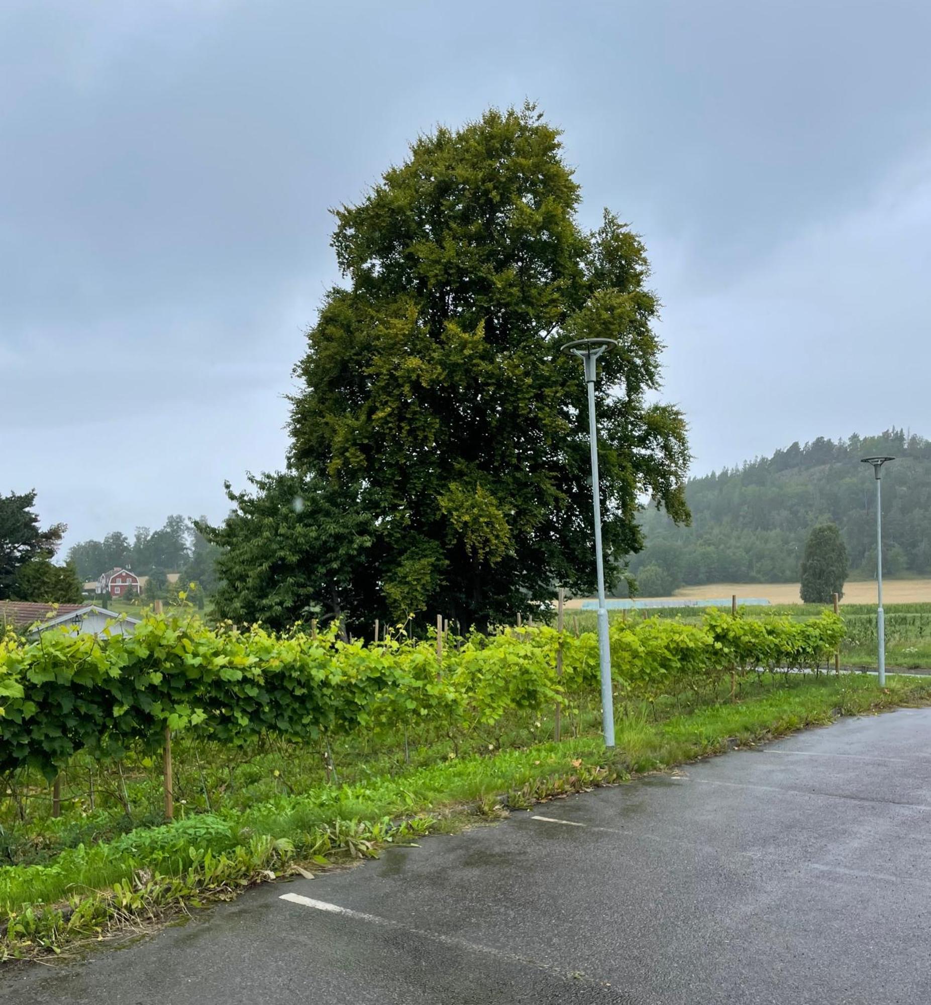 Gisebo Vingard Huskvarna Exterior foto